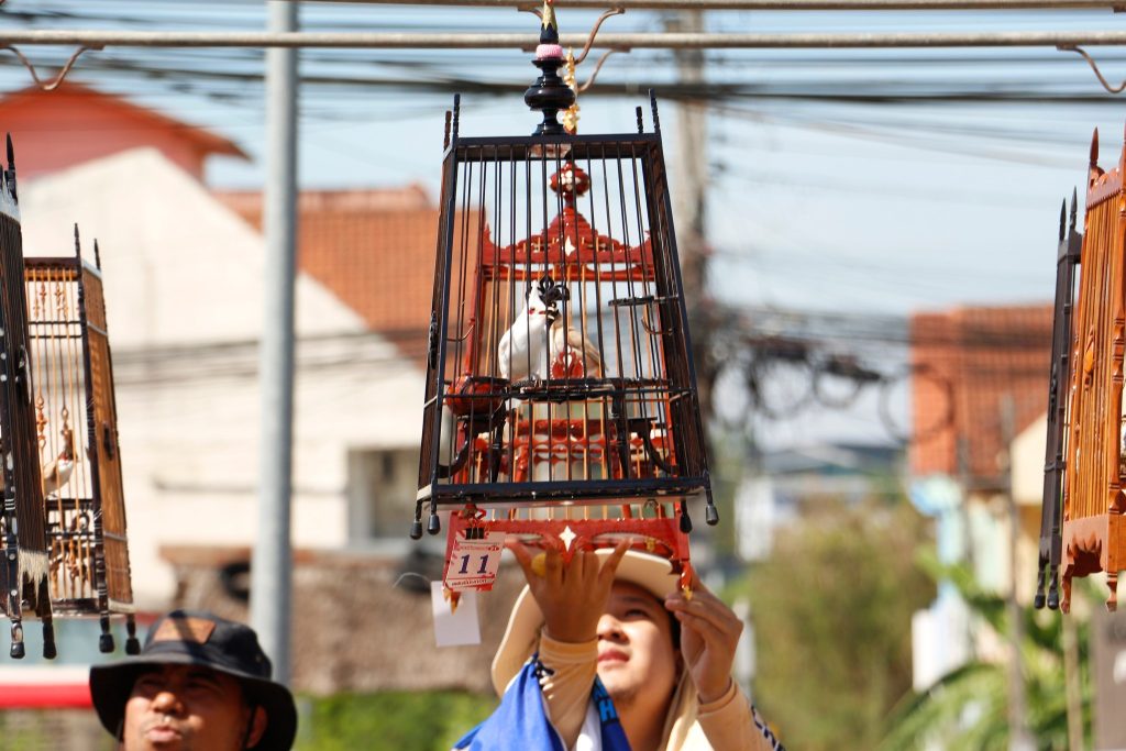 โครงการแข่งขันนกกรงหัวจุก ครั้งที่ 1 ประจำปี 2567