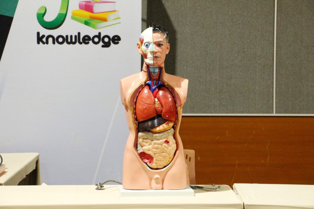 มหกรรมติวสด “มหกรรม Thailand University Expo พิชิต Portfolio and Workshop 2024”