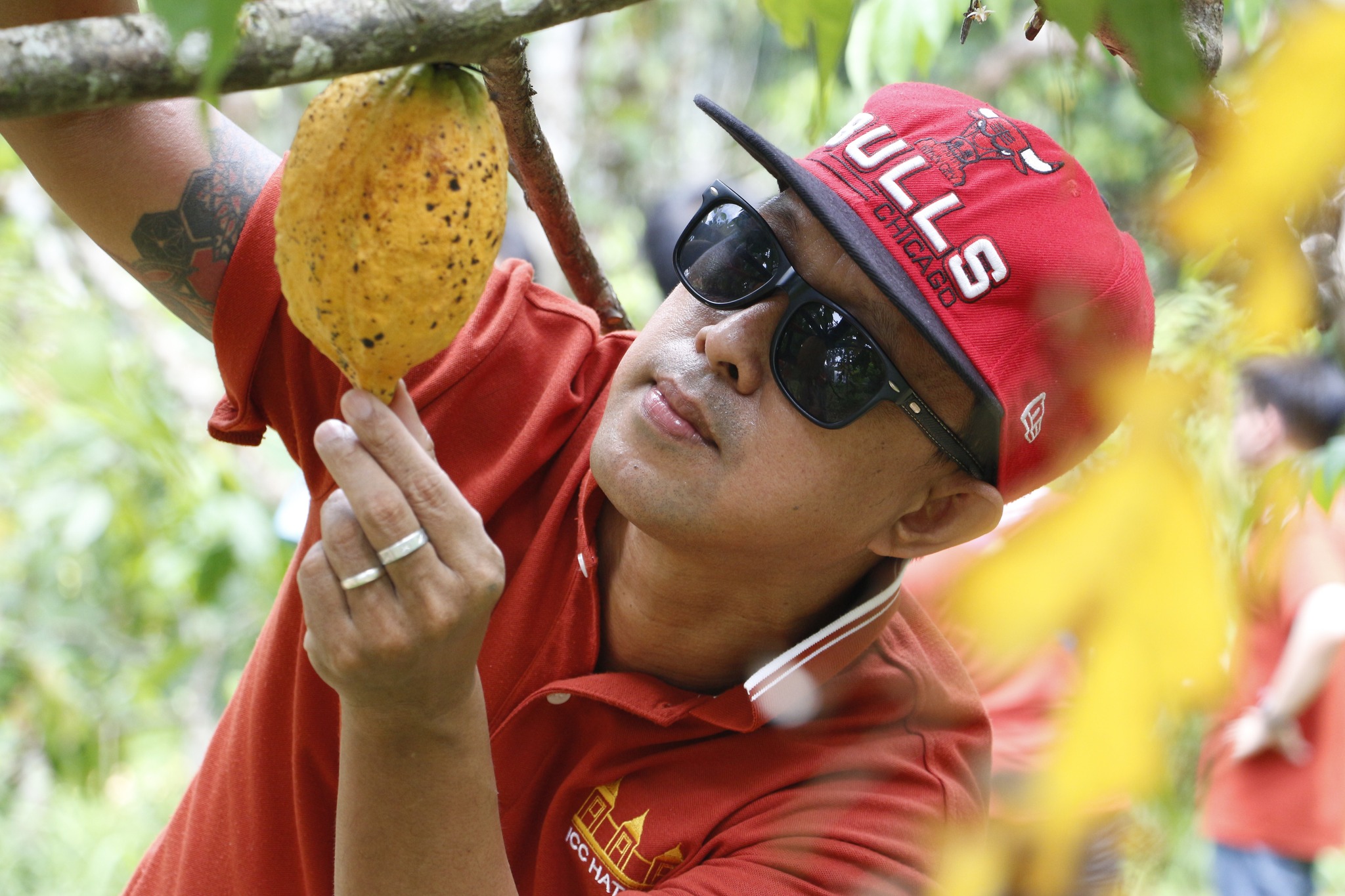 ICCH สนับสนุนต่อสังคมและชุมชนในโครงการ “เพาะกล้า โกโก้ อินทรีย์” ของ ICC Hat Yai ชุมชุนเข้มแข็ง องค์กรแข็งแกร่ง พัฒนาสังคมให้ยั่งยืน 7 ICC HATYAI ศูนย์ประชุมนานาชาติฉลองสิริราชสมบัติครบ ๖๐ ปี 473617670 1021085910064680 4865887181122193976 n ICC HATYAI ศูนย์ประชุมนานาชาติฉลองสิริราชสมบัติครบ ๖๐ ปี